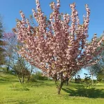 Apartamento Bella Collina *