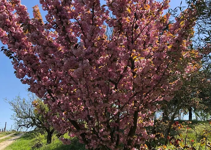 Bella Collina شقة Fontanile