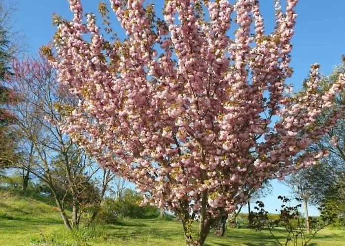 Lejlighed Bella Collina *